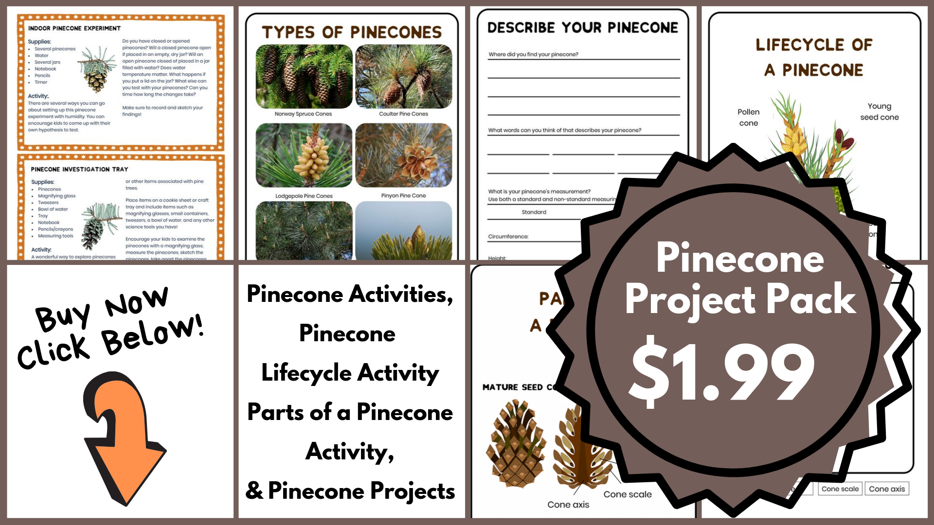 Pinecone full price