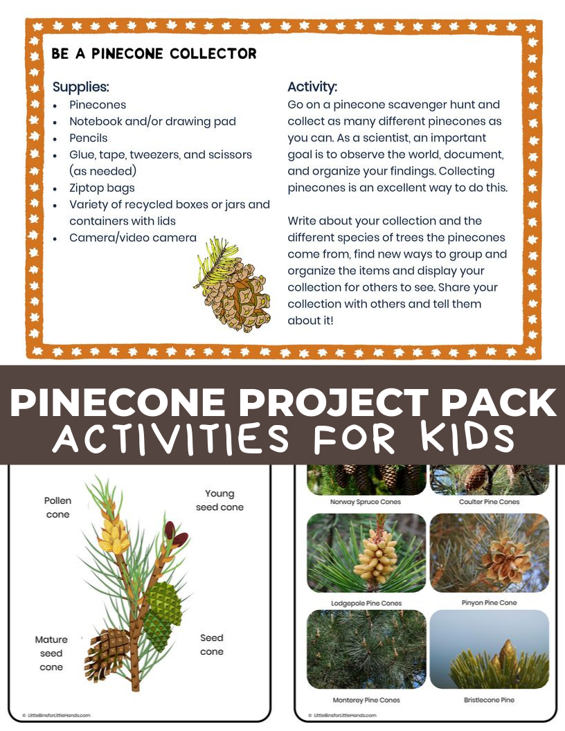 Pinecone_Activities_Pack_Cover