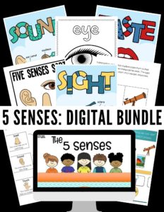 5_Senses_Digital_Bundle_Sales_Checkout_Image