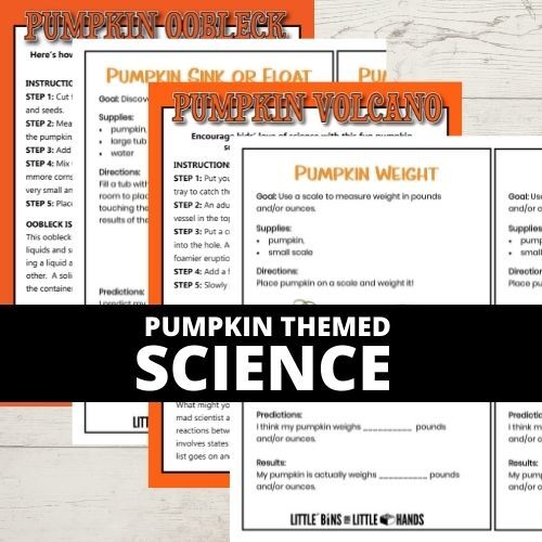 Pumpkin STEAM Pack 2021 Square Photos